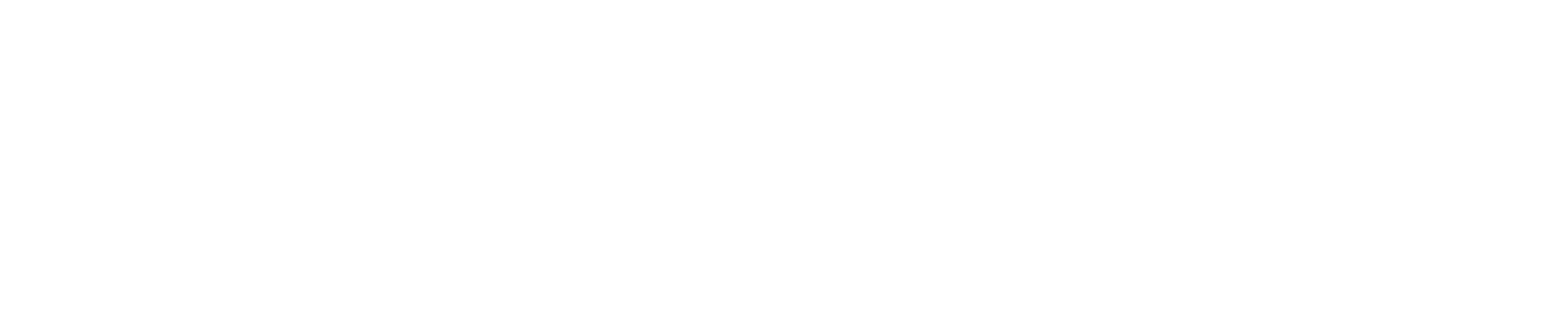 Full Load Freight System Inc